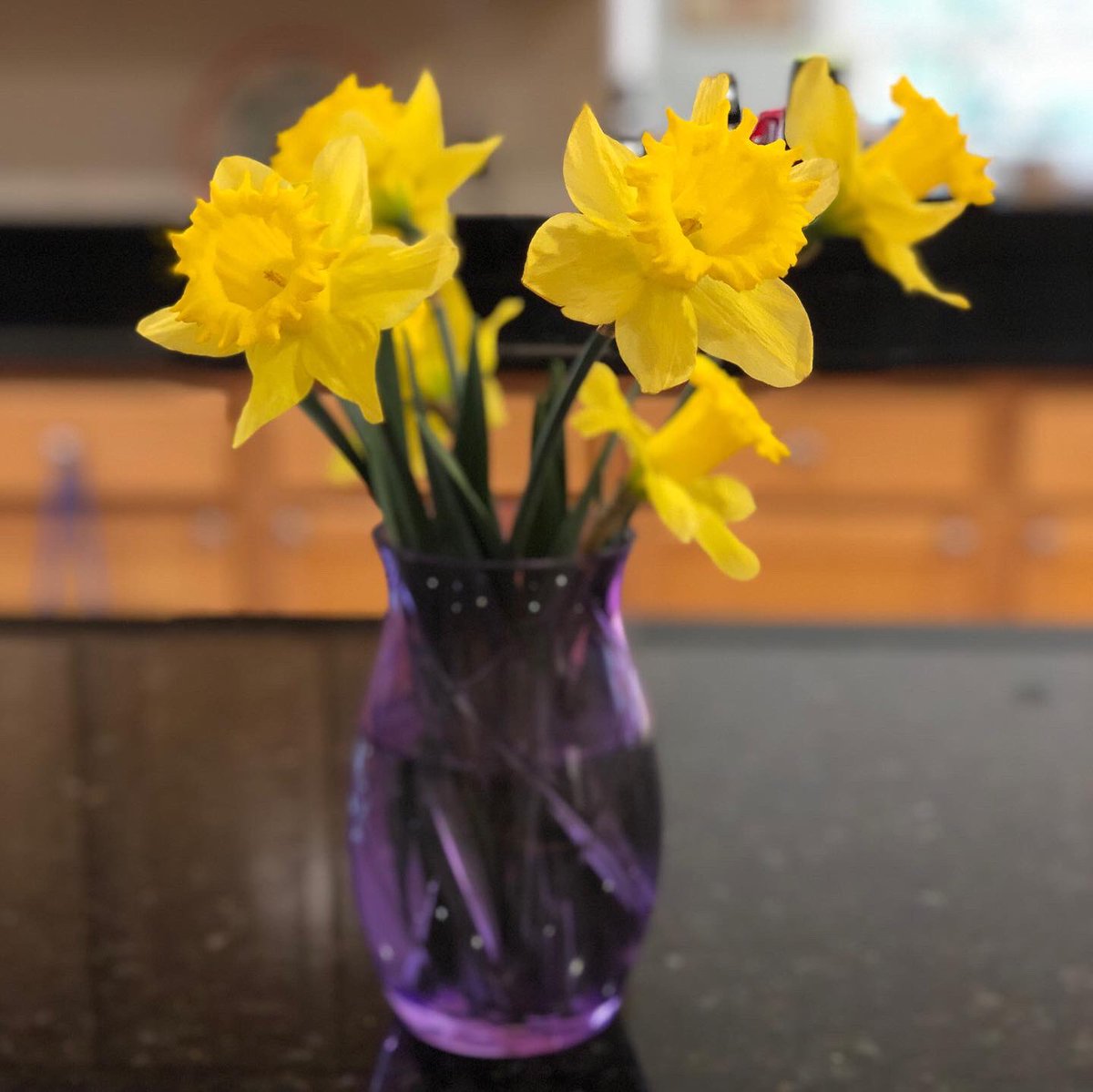 JennyMosier's tweet photo. Loving the yellow flowers blooming all around, which make me think of Michael every time.
Hope you all see some yellow as spring is upon us, and that you take a moment to think of our little boy. ๐
#missingmichael #bigheromichael #defeatdipg #chadtoughdefeatdipg https://t.co/kdlnsVGxwy