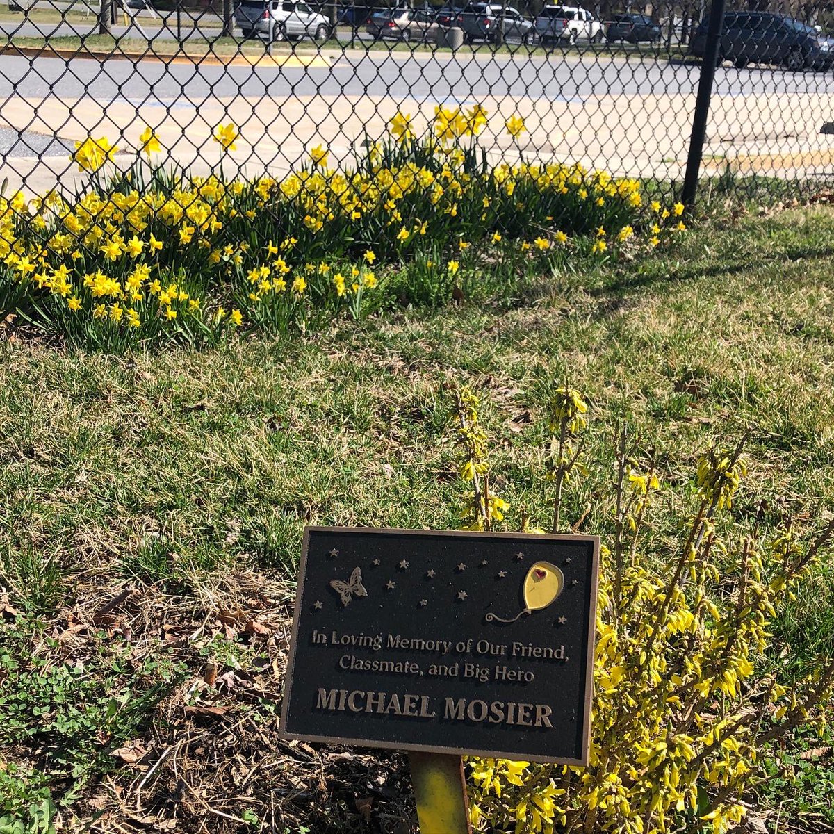 JennyMosier's tweet photo. Loving the yellow flowers blooming all around, which make me think of Michael every time.
Hope you all see some yellow as spring is upon us, and that you take a moment to think of our little boy. ๐
#missingmichael #bigheromichael #defeatdipg #chadtoughdefeatdipg https://t.co/kdlnsVGxwy