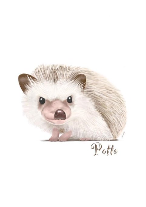 ハリネズミイラストのtwitterイラスト検索結果 ハリネズミイラストのtwitterイラスト検索結果