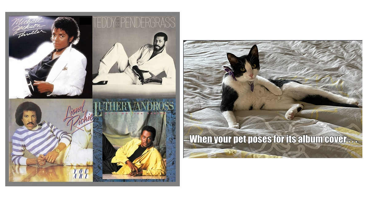 WindyCityMike7's tweet photo. Whiskers likes going for that vintage soul vibe. 🔥#AlbumCoverPets #albumcover https://t.co/iWHCmWAy0c
