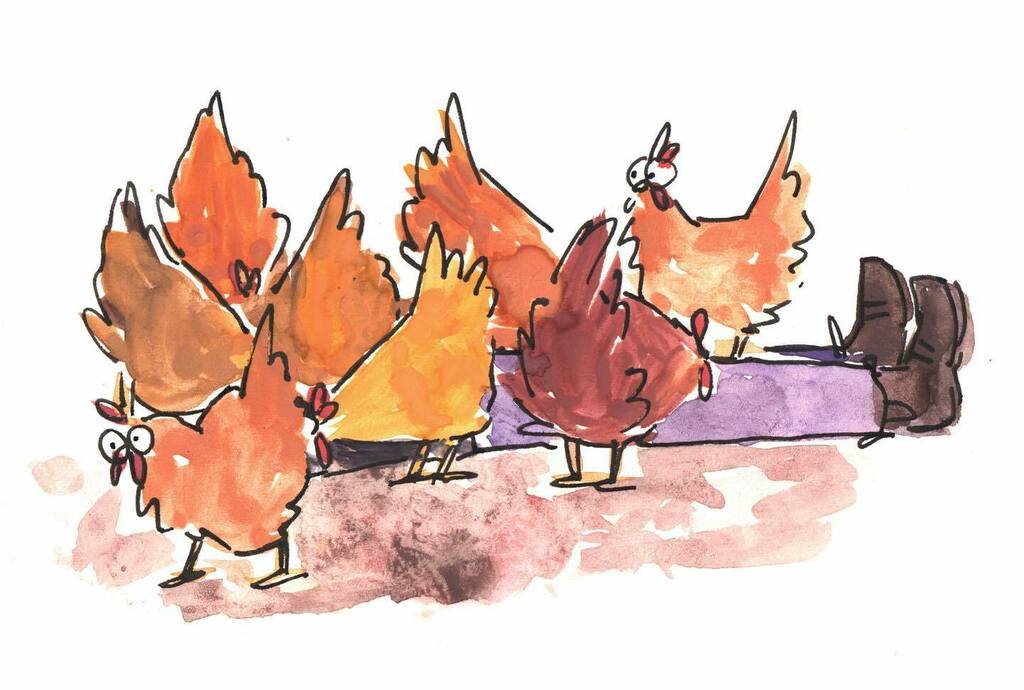 Bird Strips tweet media