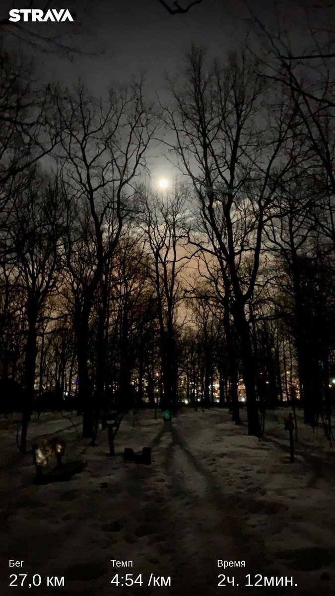 Данил Уфимцев tweet media