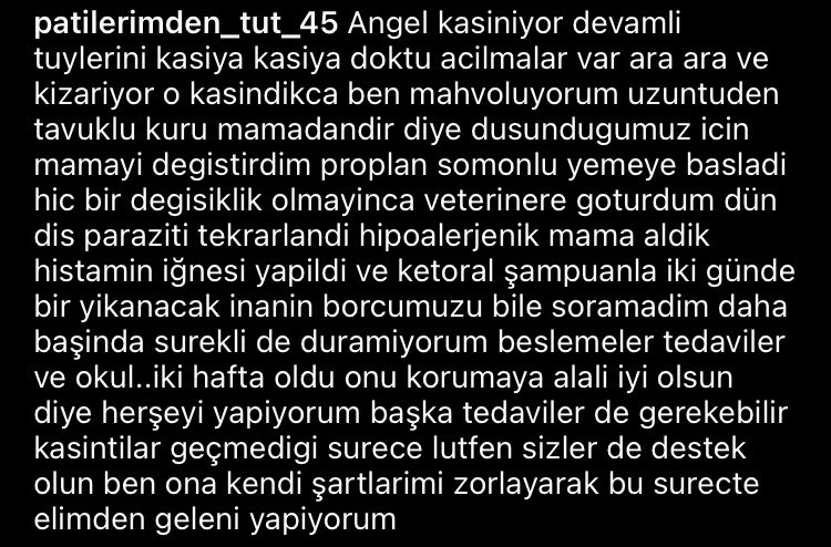 patilerimdentut's tweet photo. Angel için desteklerinizi eksik etmeyin lütfen🙏🏻 Açıklama çok uzundu fotoğrafa ekledim lütfen okuyun🙏🏻 https://t.co/eIgZNwI2vm