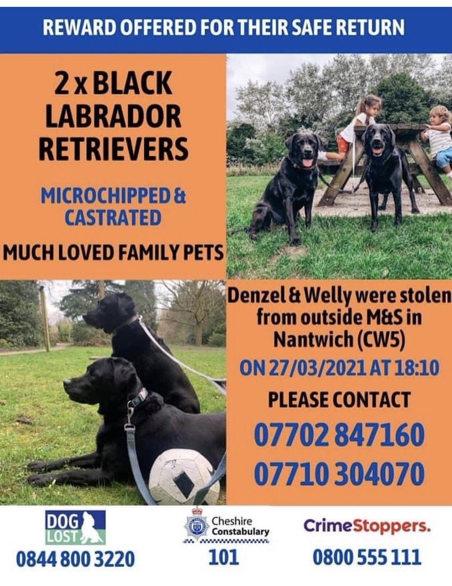 Rebecca Mellor tweet media