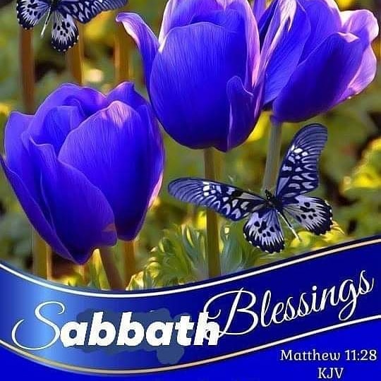Happy Sabbath! #Feelingblessed🙏