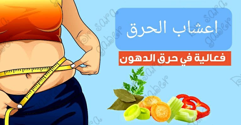 Dr.Sara Gaber (@saragab66481201) on Twitter photo 