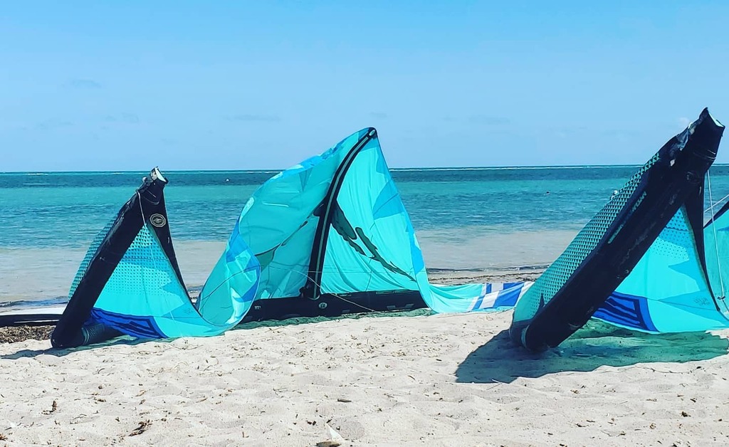 bluacc_2059's tweet photo. This is Life 🤙👏☀️
.
.
.
.
#kiteboarding  #kitesurfing #kite #beachlife #sunny #watersports https://t.co/nbNhteQuqg https://t.co/iS1780PylQ