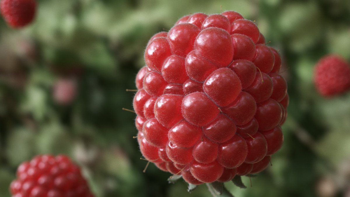 My first entry to #Mardini2021 Day 28: Earth
Showing what beauty can come out of a bit of earth
Made with <a href="/sidefx/">SideFX</a> #Houdini and <a href="/redshift3d/">redshift3d</a>