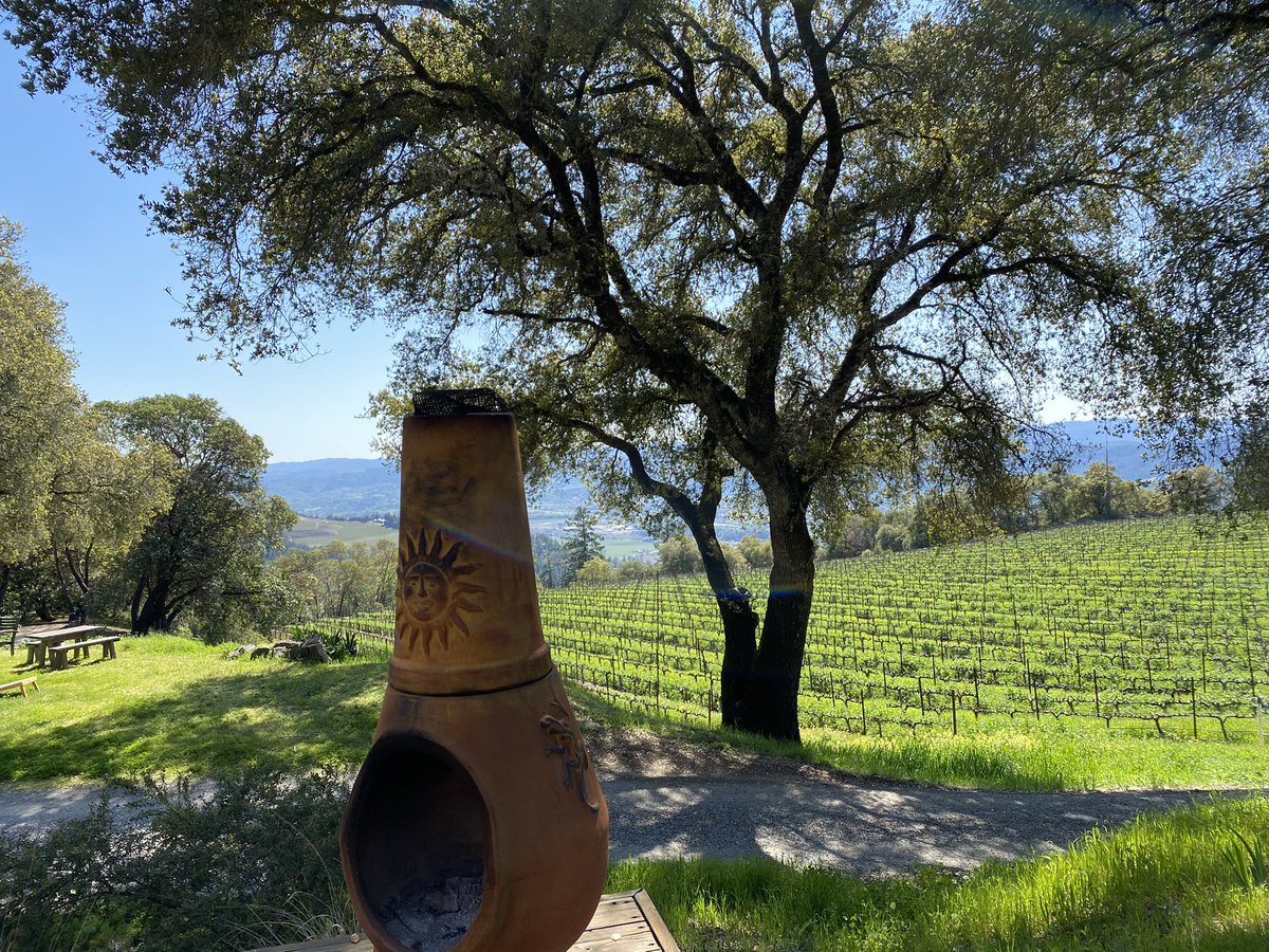 Picture perfect day on the vineyard!