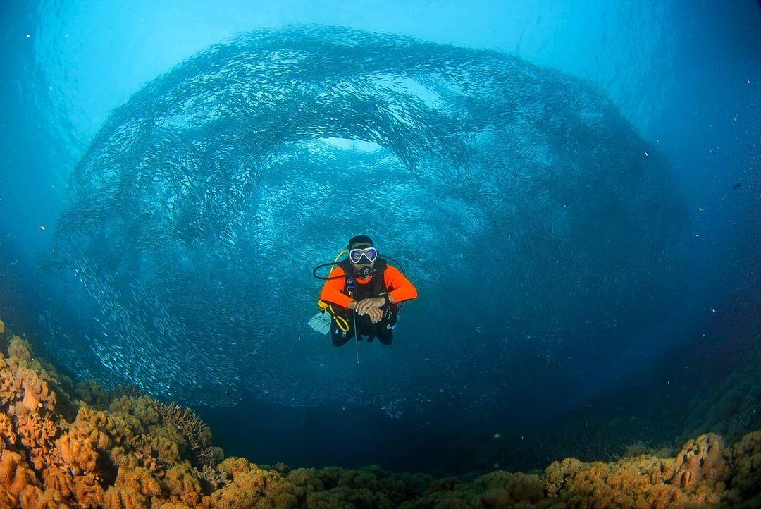 PADI's tweet image. Would you dive into this fish cyclone in Indonesia? 🌪️ 📷: IG user doddy98fx in Pantai Jikomalamo.