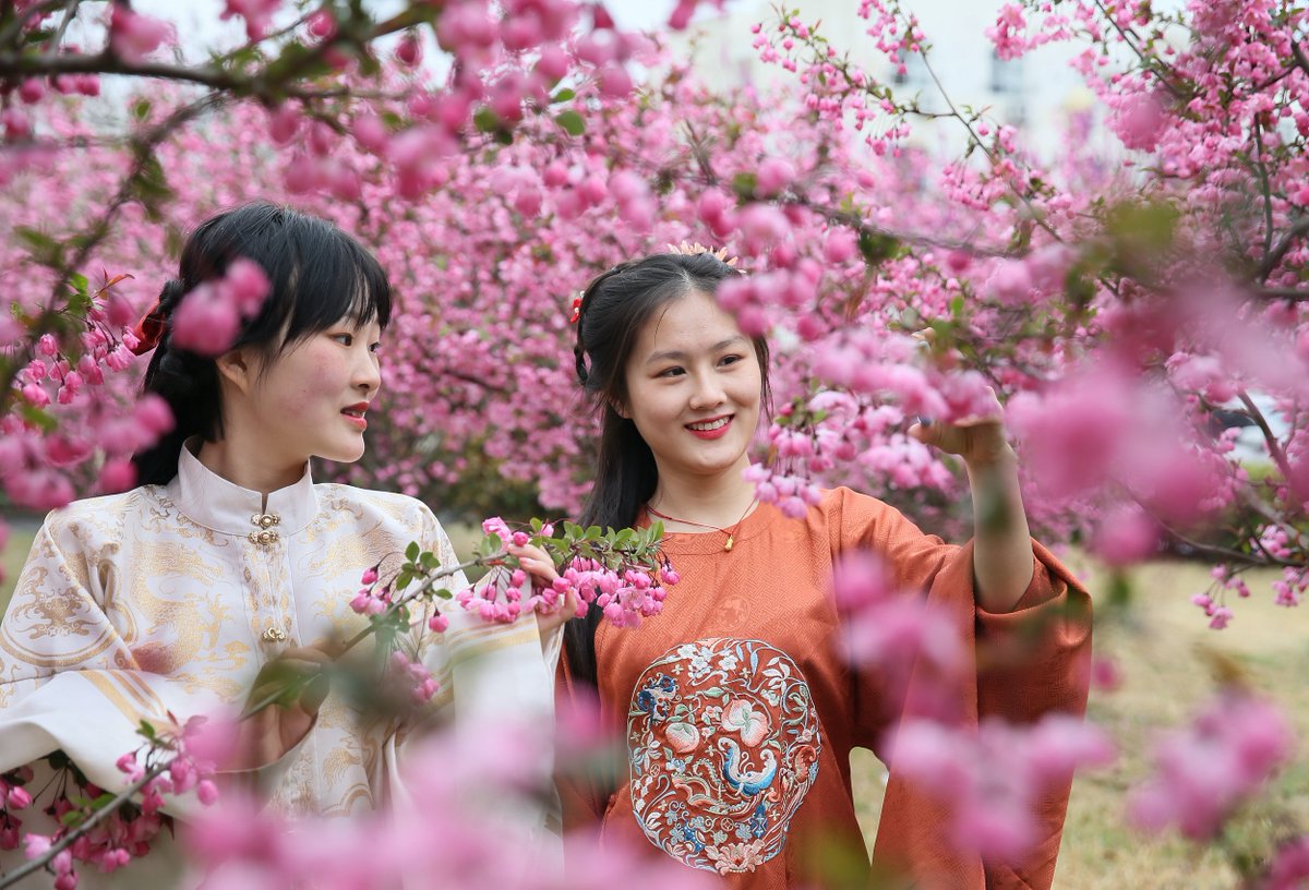 gruposinoasia's tweet photo. Encerramos este domingo e iniciamos a semana com lindas imagens diretamente de Lianyungang!
Vestindo um Hanfu, roupa tradicional do grupo étnico Han, os alunos da Universidade do Oceano Jiangsu, admiram as flores em Lianyungang
@PDChina @WanmingYang @cebc_brasil @EmbaixadaChina https://t.co/kJNOhn1RFF