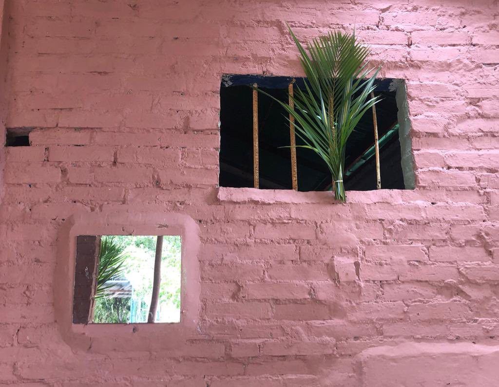 Amarú Vanegas tweet media