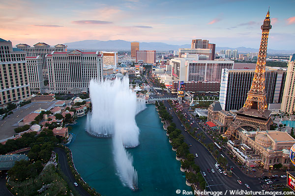 More of what I can't wait to see!  Anyone want to join me?  😉