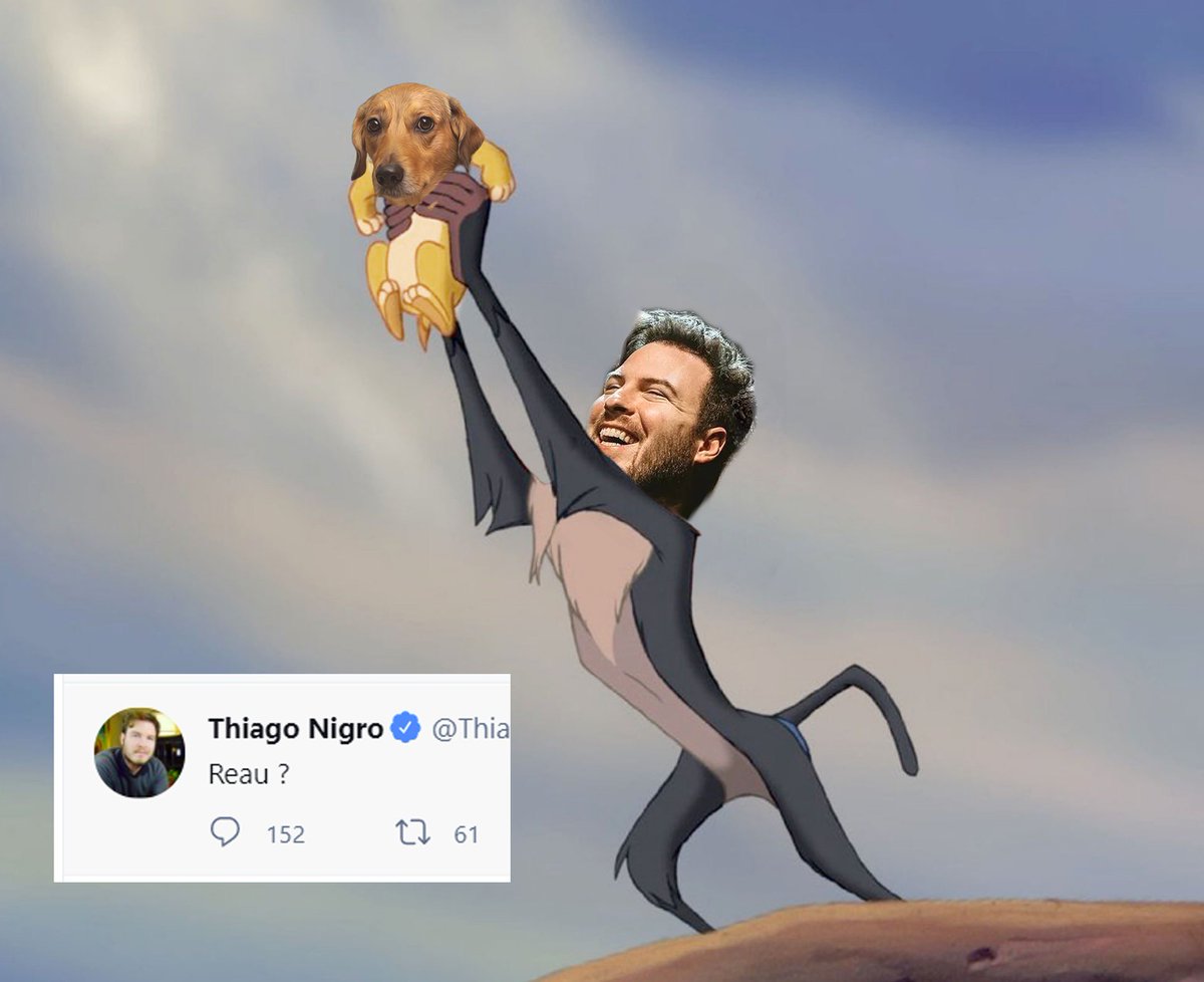 viralatacomvc's tweet photo. 🚀🐶🚀🐶🚀 https://t.co/SHeiB1dL1Z