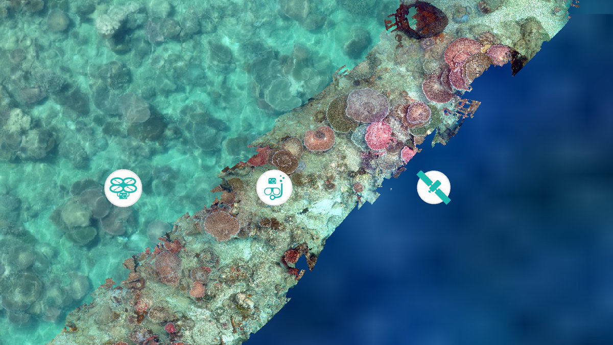 DrKJoyce's tweet photo. Multi-scale #mapping - #drones, insitu, and #satellite #earthobservation on a #coralreef. We've been lucky with the weather this trip! @StephanieDuce @MiaHoogenboom @jack_koci @AllisonPaley https://t.co/kB2jY606jK