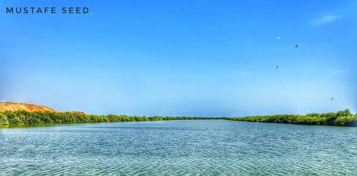 PuntlandTourism's tweet photo. Spectacular shots taken at heaven and lushy region of #Bander Siyaada, this is where the #RedSea meets a valley, the ancient town is also known as Qaw of #Bari,#Puntland, #BanderSiyaada serves as the home base and HQ of #Puntland's Strong 1K Maritime Police Forces(#PMFP)
#Somali https://t.co/O5qZaiDUku