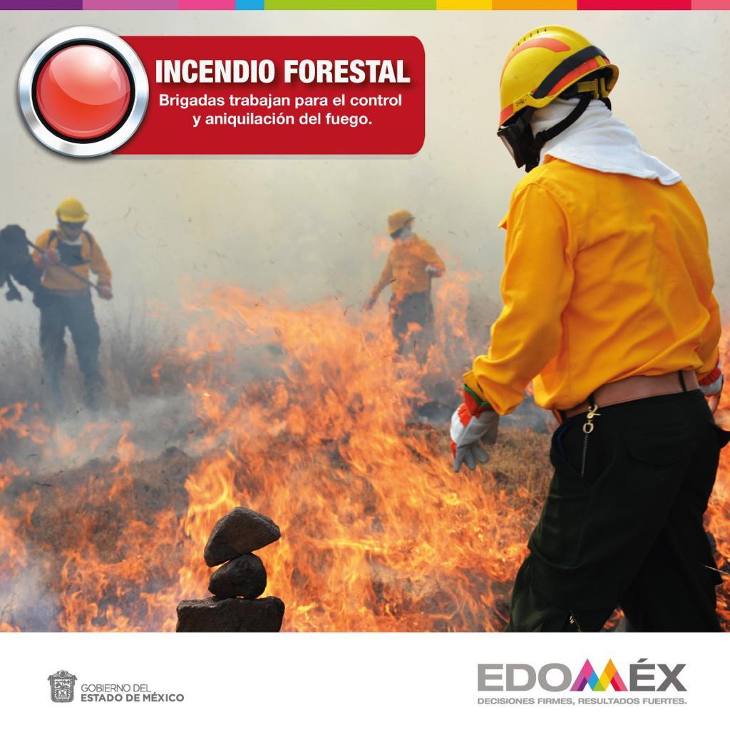 AmbienteEdomex's tweet photo. #ÚltimaHora: Se reporta incendio en el #ParqueEstatal Sierra de Guadalupe, paraje San Andrés, municipio de #Ecatepec. Acuden brigadas de la Coordinación General de Conservación Ecológica de la #SMA. https://t.co/A078IqyJeY