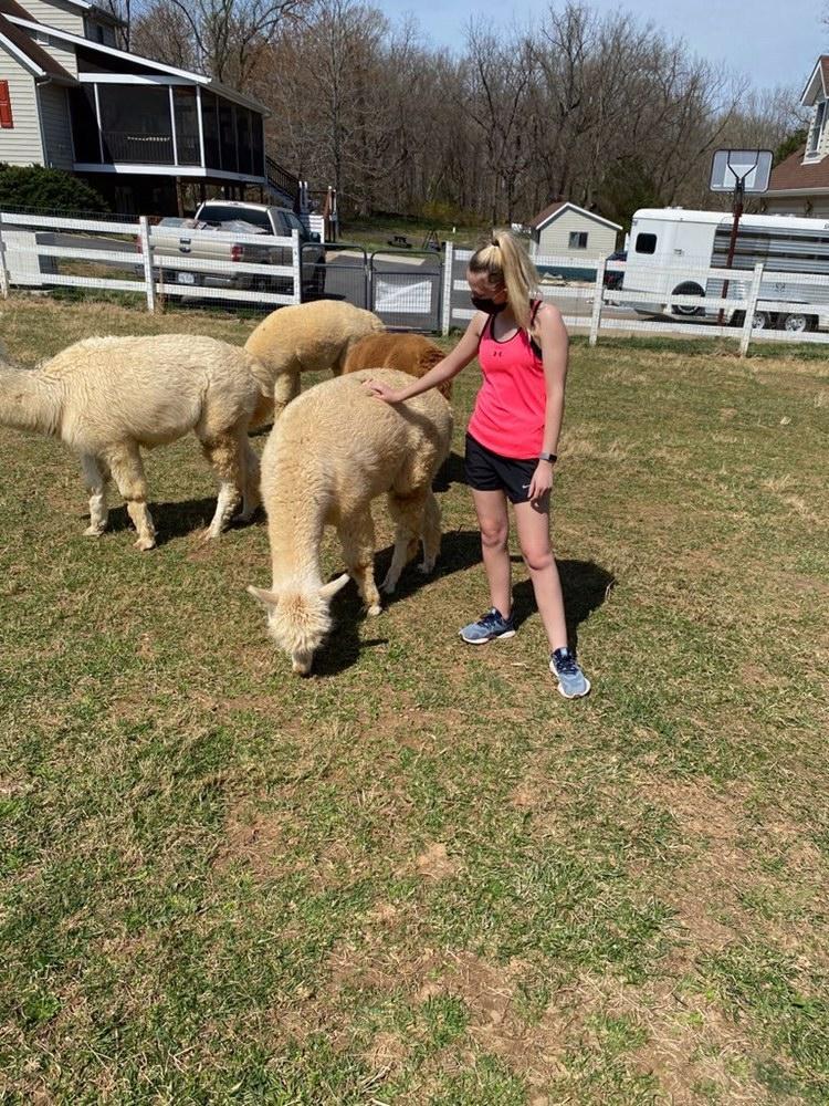 LUDeltasig's tweet photo. Thank you to Bright Eyes Alpaca farm for letting us help clean up your farm and to play with the Alpacas. https://t.co/4QxMIO5jPw