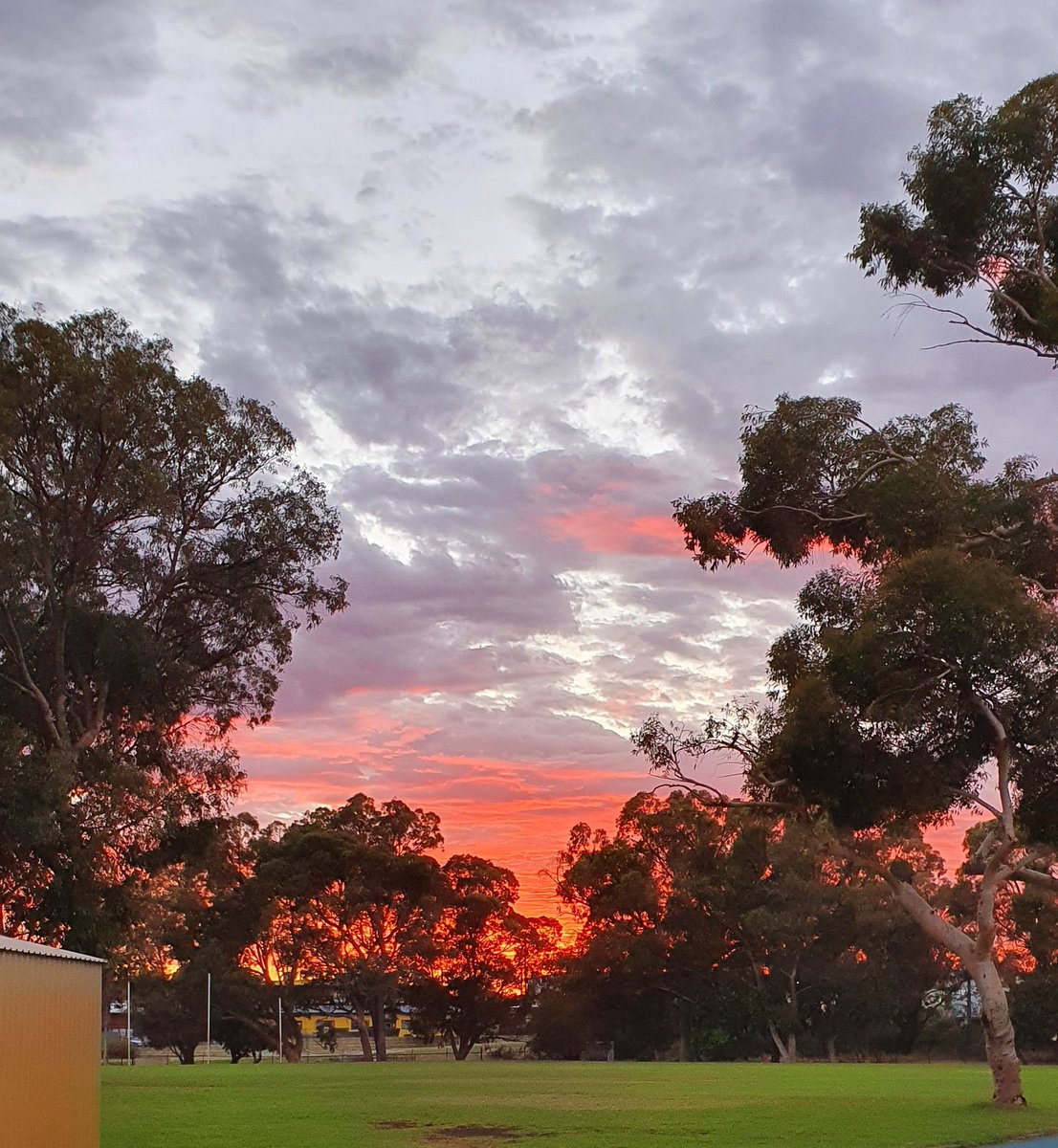 SheilaTurtle25's tweet photo. Good morning AUSTRALIA 
#goodmorningaustralia 
#sunrise #beautyinthesimplythings
#Australia #goodmorning https://t.co/L1KeMEiieZ