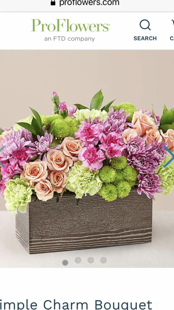 nycbaggirl's tweet photo. @ProFlowers what I ordered vs what I got.  Unacceptable substitutes.  Even the shape of the arrangement is not what I ordered. https://t.co/Lsrn64UhgW