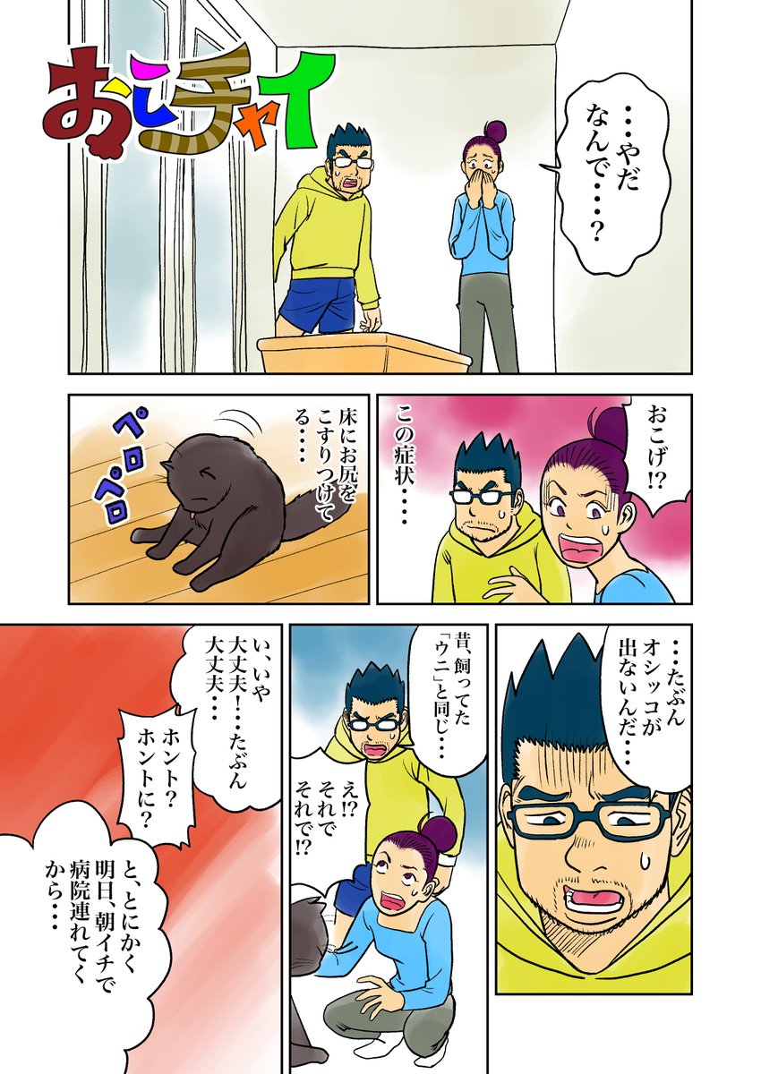 irukajima's tweet photo. おこチャイ！12話（その1）
猫飼ってるとよくある症状のようですが、自分とことなると一大事です。
#漫画が読めるハッシュタグ 　＃創作漫画　#絵描きさんと繋がりたい 　#猫のいる幸せ 　#猫好きさんと繫がりたい 　＃エッセイ漫画　#猫漫画 https://t.co/fyrryRZF7w