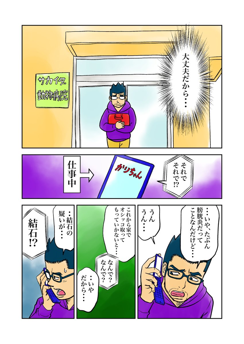 irukajima's tweet photo. おこチャイ！12話（その1）
猫飼ってるとよくある症状のようですが、自分とことなると一大事です。
#漫画が読めるハッシュタグ 　＃創作漫画　#絵描きさんと繋がりたい 　#猫のいる幸せ 　#猫好きさんと繫がりたい 　＃エッセイ漫画　#猫漫画 https://t.co/fyrryRZF7w