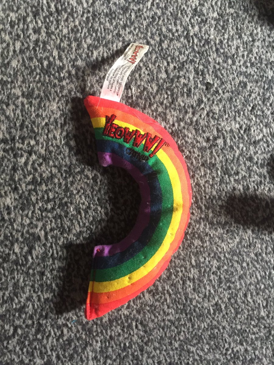 pippa_redmond's tweet image. Mitzi loves @YeowwwCatnip 💞🐈🤪🌈
