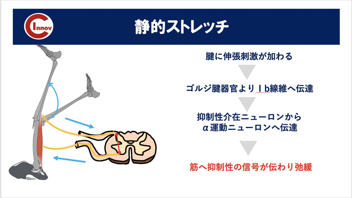 ryosuke20679492's tweet photo. 【柔軟性トレーニング】
とりあえず柔軟性を出そう!
ではなく
目的やタイミングを考えて
プログラムしていきましょう!
柔軟性トレーニングの目的
・パフォーマンスの向上
・障害予防
・疲労回復
どんなトレーニングが必要ですか?
詳しくは
👉https://t.co/CuCOP0uqAk
@C_IBaseball2020
#CIBnote https://t.co/j0VmRjPjTE