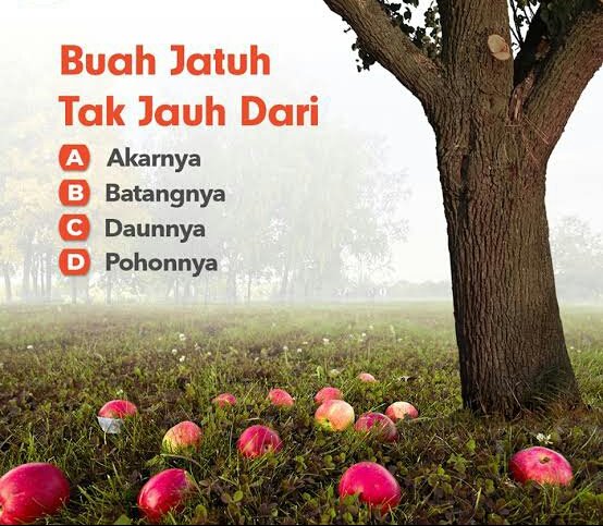 AyyaPutri18's tweet photo. @BungRetweet @Abizar_darrel https://t.co/ejip5QoJI0