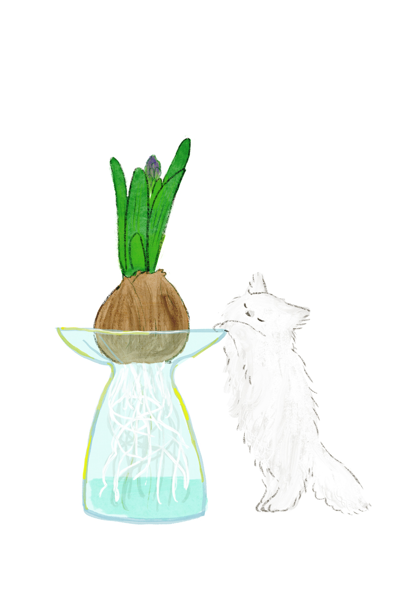 「春の匂い 」|ももろ　4／20発売絵本「パンダのパクパクきせつのごはん」のイラスト