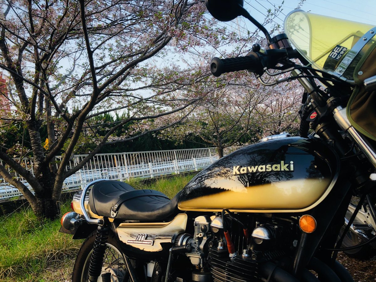 Z750a4's tweet photo. 🌸×🏍 https://t.co/Qel3szH6sx