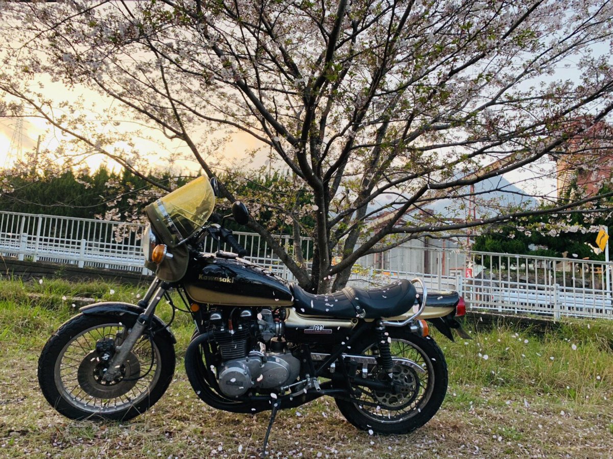 Z750a4's tweet photo. 🌸×🏍 https://t.co/Qel3szH6sx