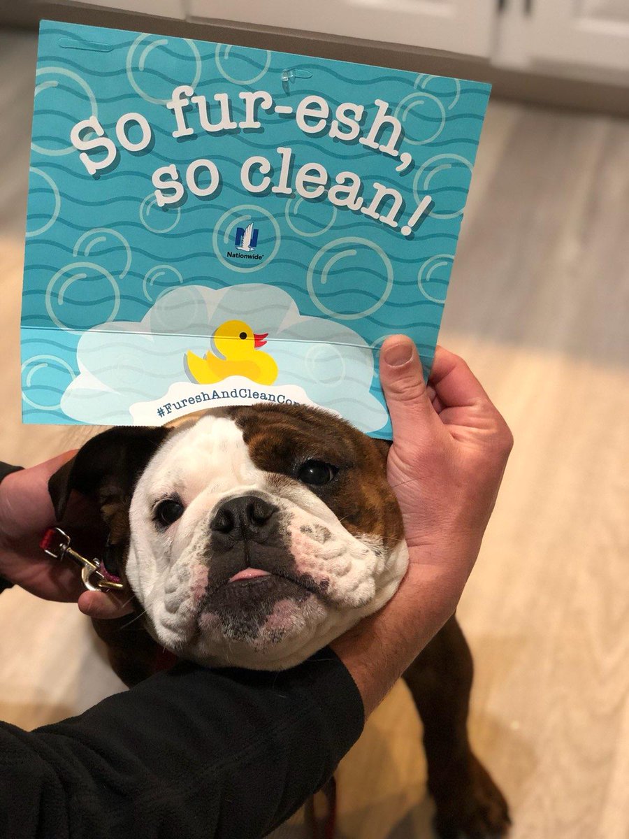 ajsant13's tweet photo. #FureshAndCleanContest https://t.co/cRBZn1jSyb