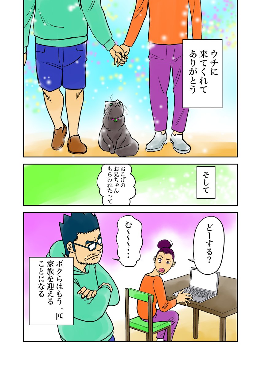 irukajima's tweet photo. おこチャイ！12話（その2）
これで、第1部完です。
次回は違う子のお話。
#マンガが読めるハッシュタグ 　#オリジナル漫画 
#絵師さんと繋がりたい 　#猫のいる暮らし 
#猫好き 　#猫マンガ 　#保護猫と暮らす https://t.co/TGFiFHFvAi