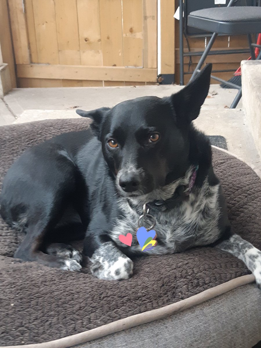 Ho hum still waitin for some sun 🌞