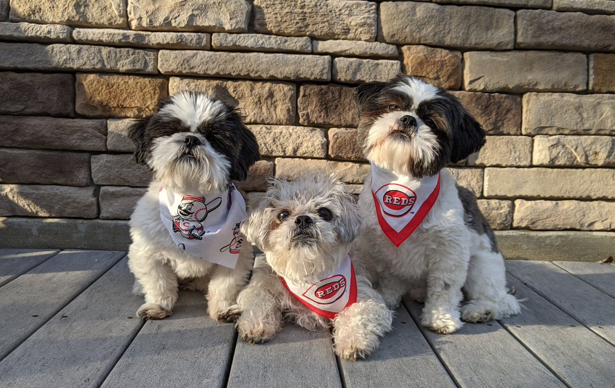 ddmccurnin's tweet photo. ⚾ It's Opening Day Week! ⚾ #goreds #cincinnatireds #MLB https://t.co/kYoWiZypBQ