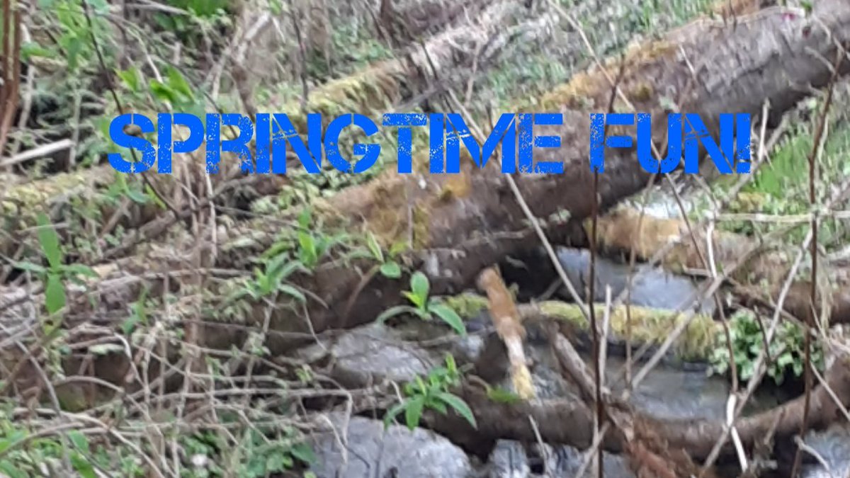 MPlushvids's tweet photo. New video up! 
#spring #mpv #March
https://t.co/sTUFLD53wW https://t.co/xfkXVFf9oo