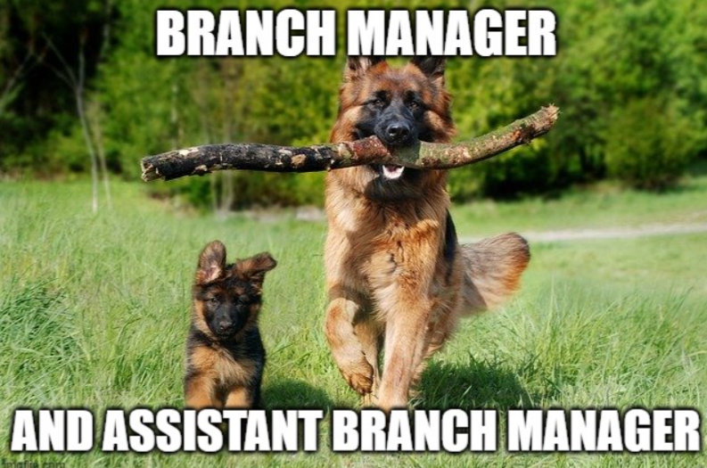 ⁠Finally, managers we can all believe in! 🤣

#germanshepherd #germanshepherds #germanshepherdpuppy #germanshepherdpup #germanshepherddog #gsd #gsdofinstagram #gsdpuppy #gsdlife #gsdlove #germanshepherdsofinstagram #germanshepherdpuppies #germanshepherdpuppiesofinstagram