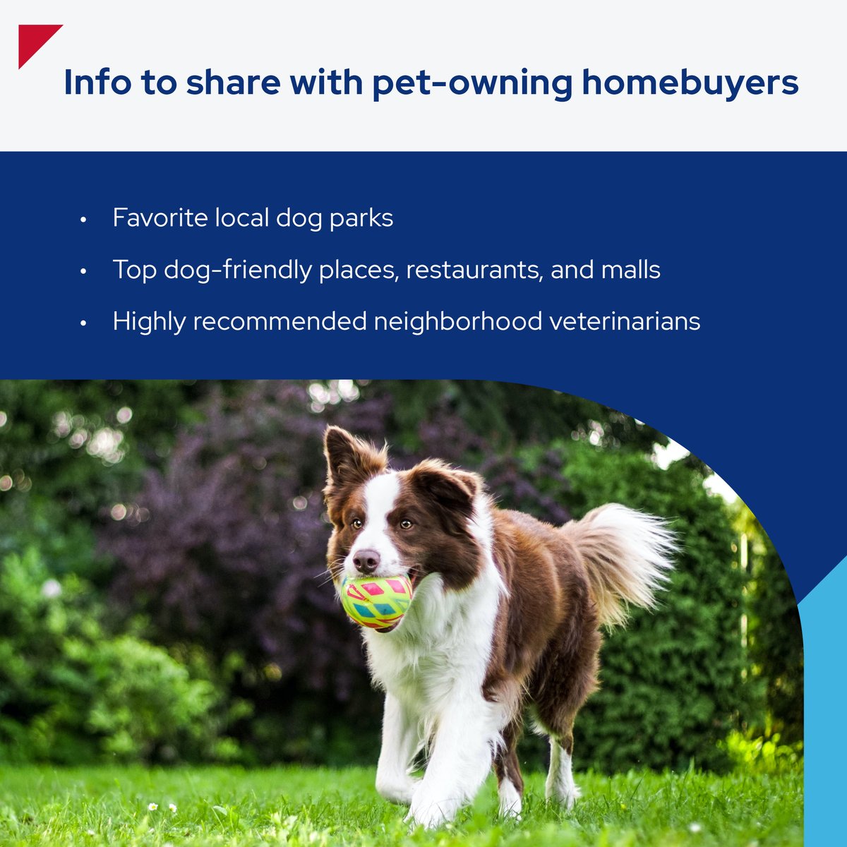🐾 Look up the following information and share it with potential pet-owning homebuyers. 

#era #doglovers #homebuyingtrends #erarealestatetips #realestatetips #erarealestate #realestate #teamera #realestateagent