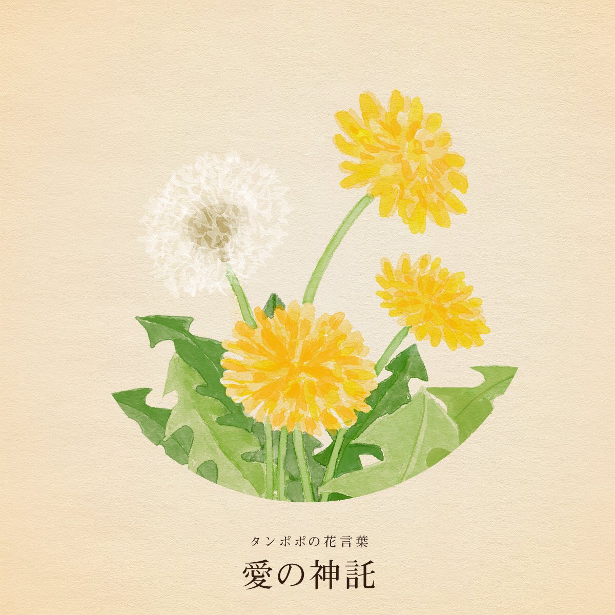 はな言葉 新刊出ました Twitterren きょう3月29日は 八百屋お七の日 作業服の日 マリモの日 マリモ記念日 誕生花はタンポポ 花言葉 は しあわせ 愛の神託 はな言葉 新刊出ました Twitterren きょう3月29日は 八百屋お七の日 作業服の日 マリモの日 マリモ記念日 誕生花はタンポポ 花言葉 は しあわせ 愛の神託