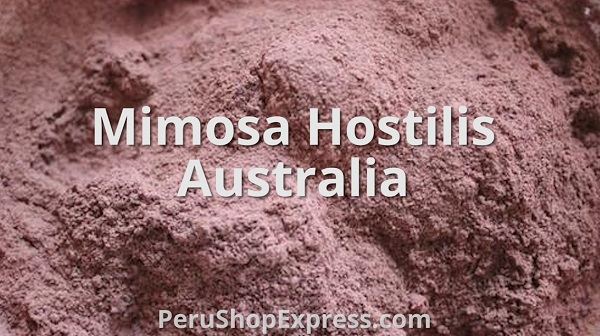 Mimosa hostilis and Acacia confusa root bark Australia perushopexpress.com/acacia-confusa…
