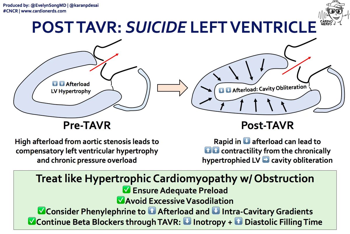 CardioNerds tweet media