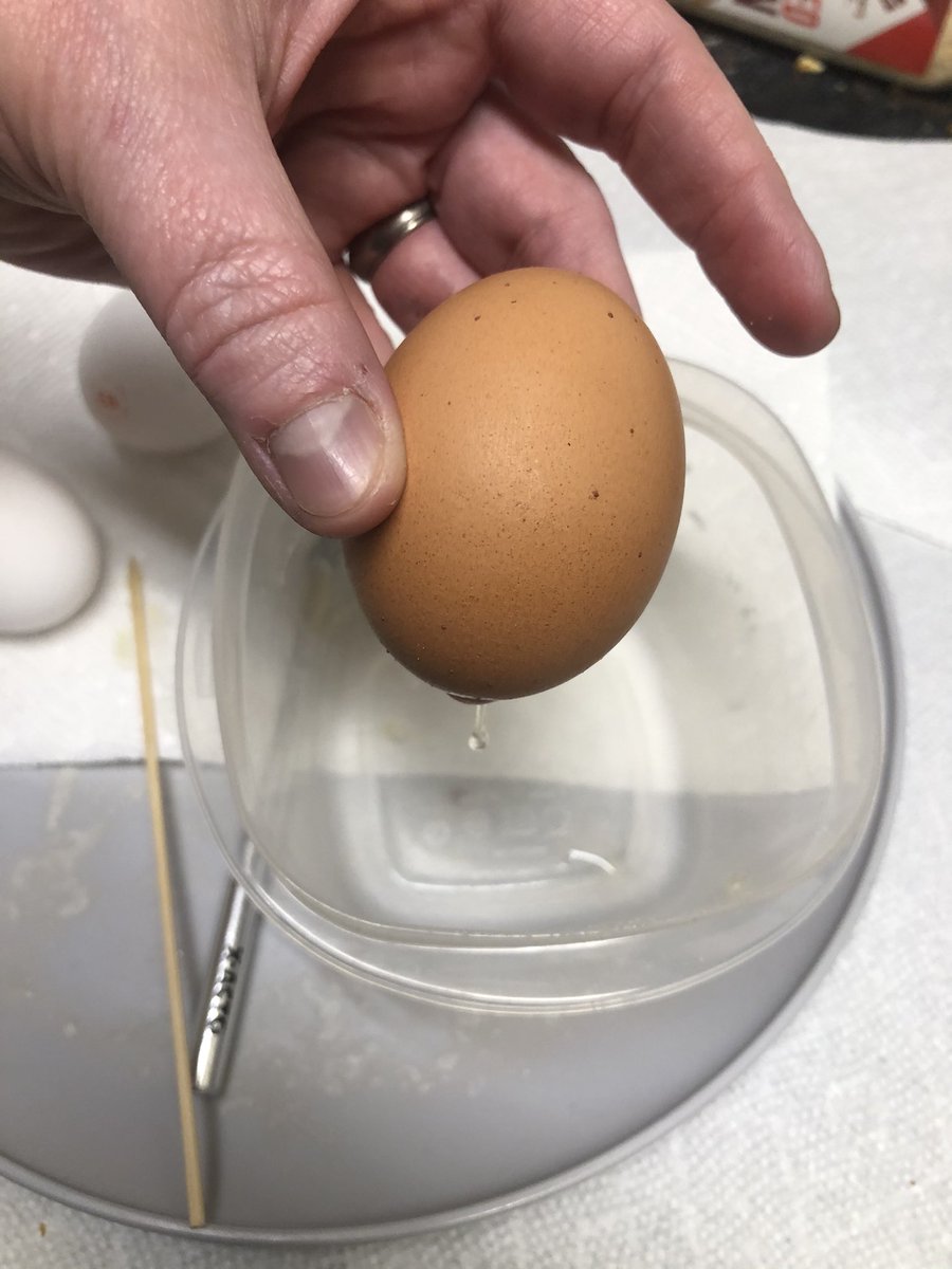 ScifiZephyr's tweet image. Process pics from Valeim themed egg
