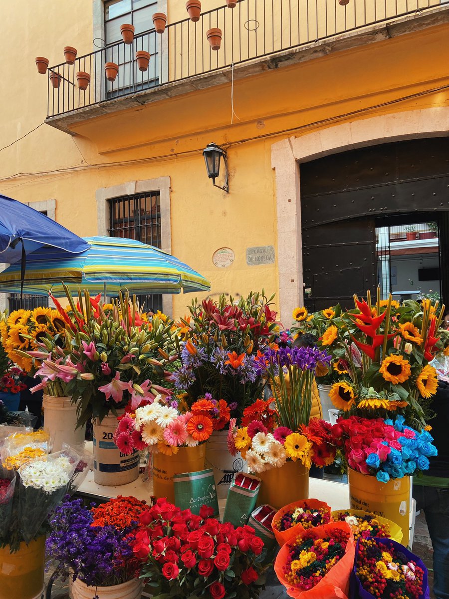 FunicularMx's tweet photo. Día de las Flores 2021 en Guanajuato, #México 🌺 💐 ❤️🇲🇽 https://t.co/CNGJrOlDte