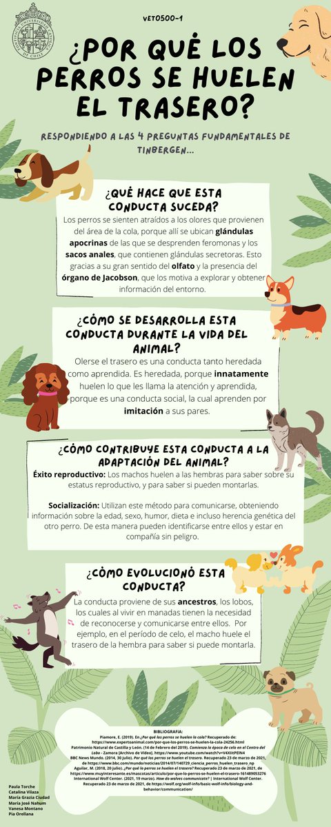 Existen conductas mucho más fáciles de observar en forma cotidiana. También podemos analizarlas utilizando el enfoque de las 4 preguntas de Tinbergen: qué estimula/desencadena esta conducta? Cómo se desarrolla durante la vida del animal? Qué función tiene? Cómo evolucionó?