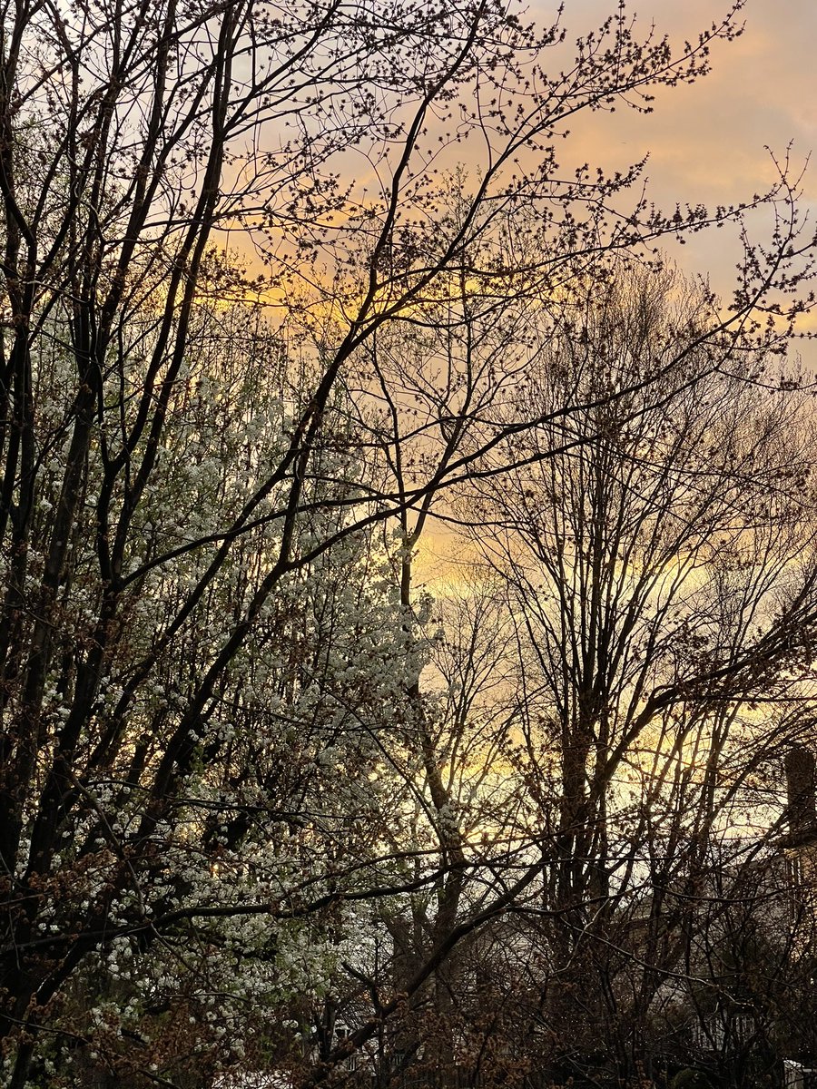 _DTorstenson's tweet photo. Storm over down here in Springfield VA @ChuckBell4 @nbcwashington @laurynricketts @dougkammerer #Stormover #Springweather🌝🌍☔️ https://t.co/b3WVuuZM8v