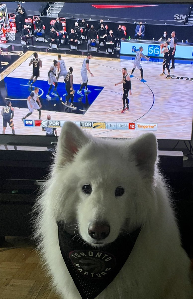 fariima_m's tweet photo. Teddy is the biggest #Raptors fan!! ❤️🏀#tangerinefanangle https://t.co/eknCcJFueH