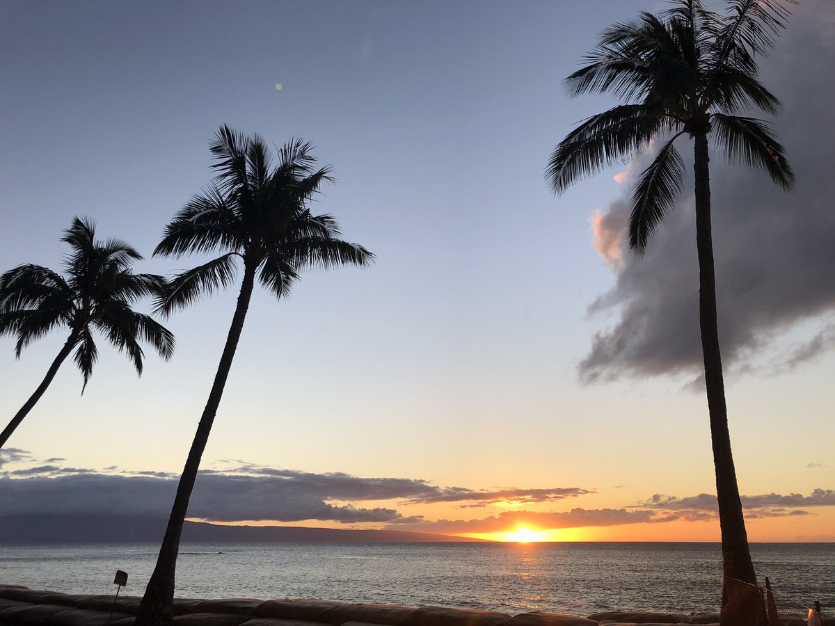 Krizandwich's tweet image. Quarantine starting tomorrow till Hawaii vaca. Stay away #COVID19 Kaine and I need this! #hawaii #21daylockdown #worthit