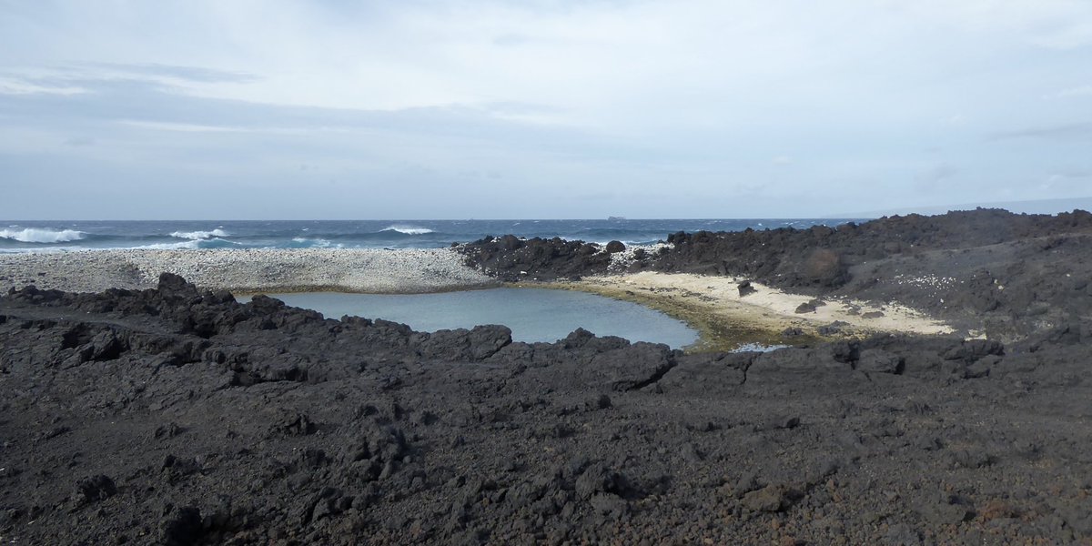 JohnLargier's tweet photo. ICOLLs come in all shapes and sizes - here a wave-built coral berm blocks off a crevice in the lava flow on the south side of Haleakala trapping water in a micro-lagoon #Maui #ICOLL #TOCE #ICE https://t.co/312G9nHuqf