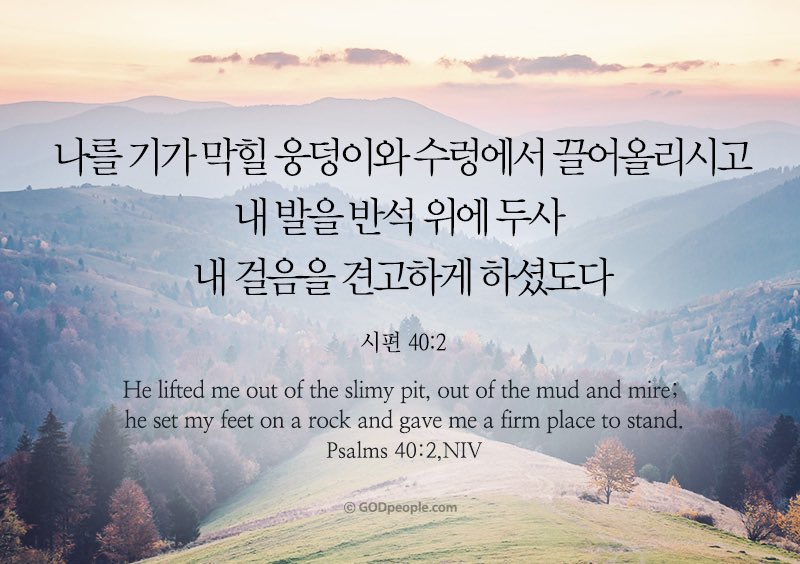 choi young sun(최영선) (@holyyoung) on Twitter photo 